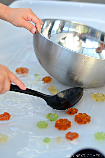 Acorn & pumpkin sensory bin with water Acorn & pumpkin sensory bin with water