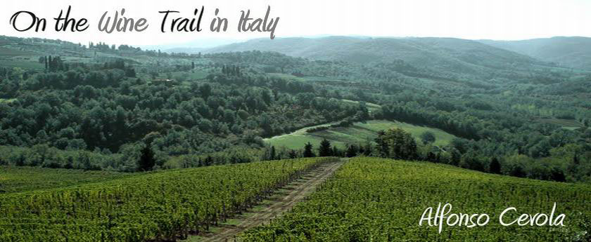 On the Wine Trail in Italy