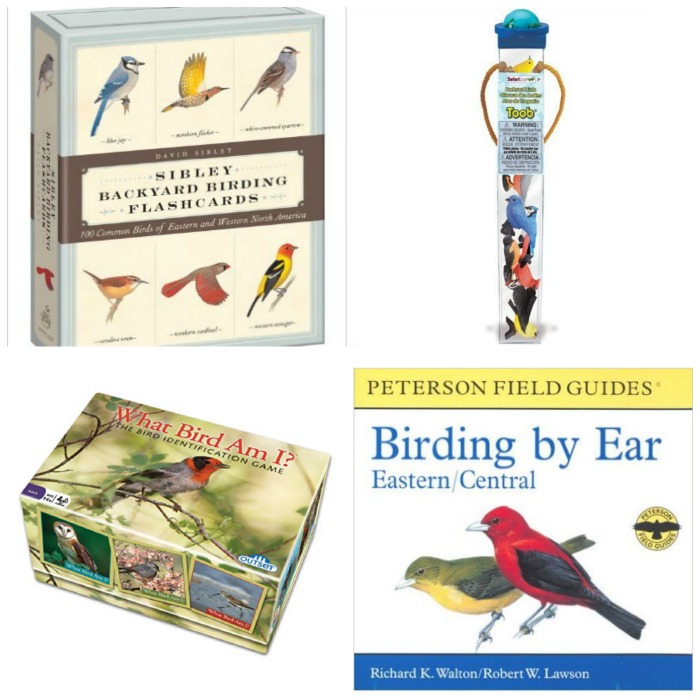 Montessoriinspired Bird Gifts and Resources for Children Every Star