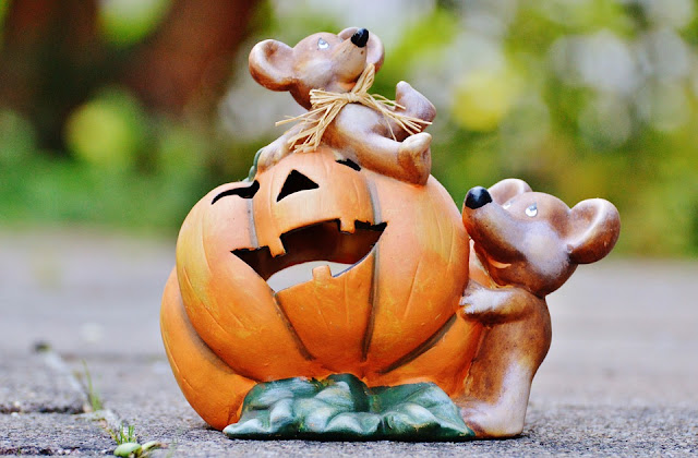 Funny Halloween Pumpkin Wallpaper Funny Halloween Pumpkin Wallpaper