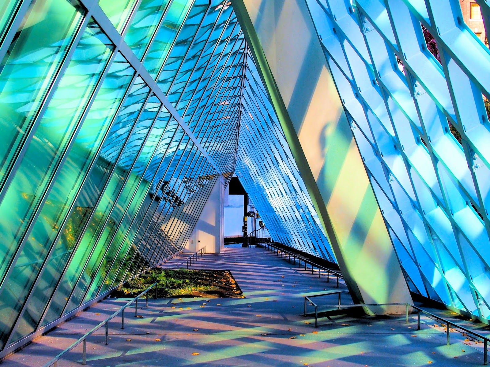 LIFE MOMENTS " " JUNGLE GLASS