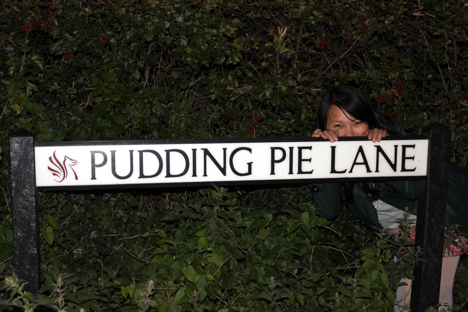 Pudding Pie Lane About