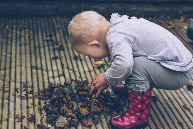 Little crouched down on some decking looking at dried leaves