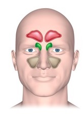 common cold,home remedies for cold,cold,home remedies for common cough,common cold treatment,home remedies for cold & cough,natural remedies for cold,home remedies for cough,home remedies for common cold,natural home remedies for common cold,5 effective home remedies for common cold,common cold home remedies,common cold symptoms,common cold remedies,home remedies,best otc medicine for common cold