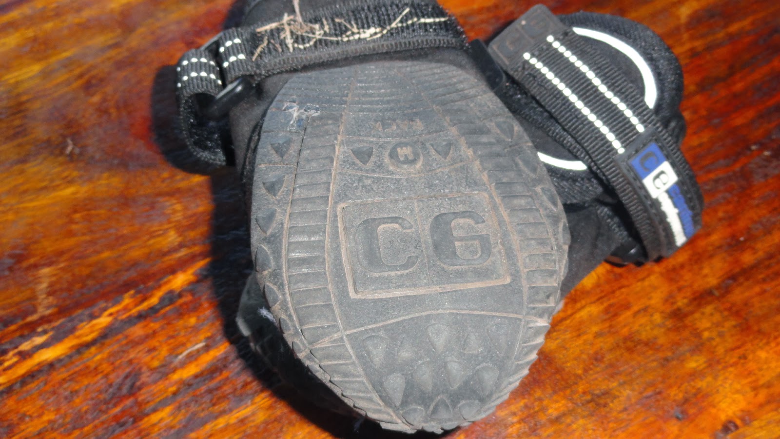 3 Dog BlogA Boxer Adventure Degenerative Myelopathy