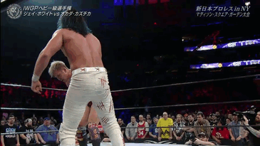 tumblr_pplgpjEzyJ1s05wxzo1_400.gif