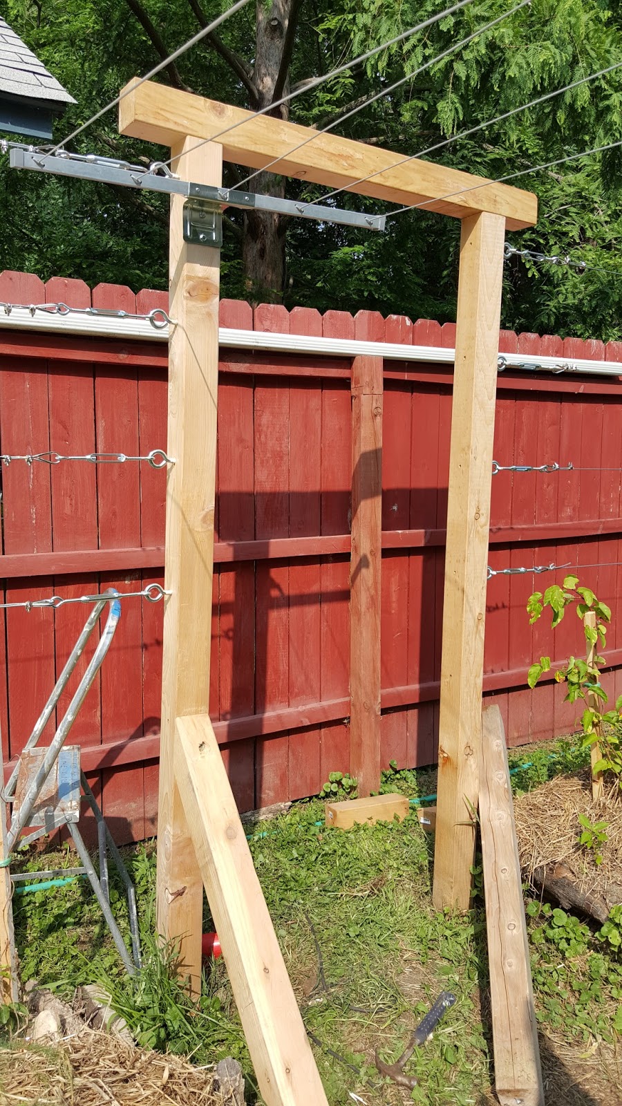 The Urbane Farmer Kiwi trellis installed