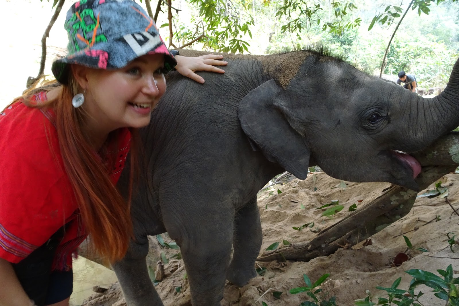 Anna und Max entdecken die andere Seite der Welt Ein Tag mit Elefanten