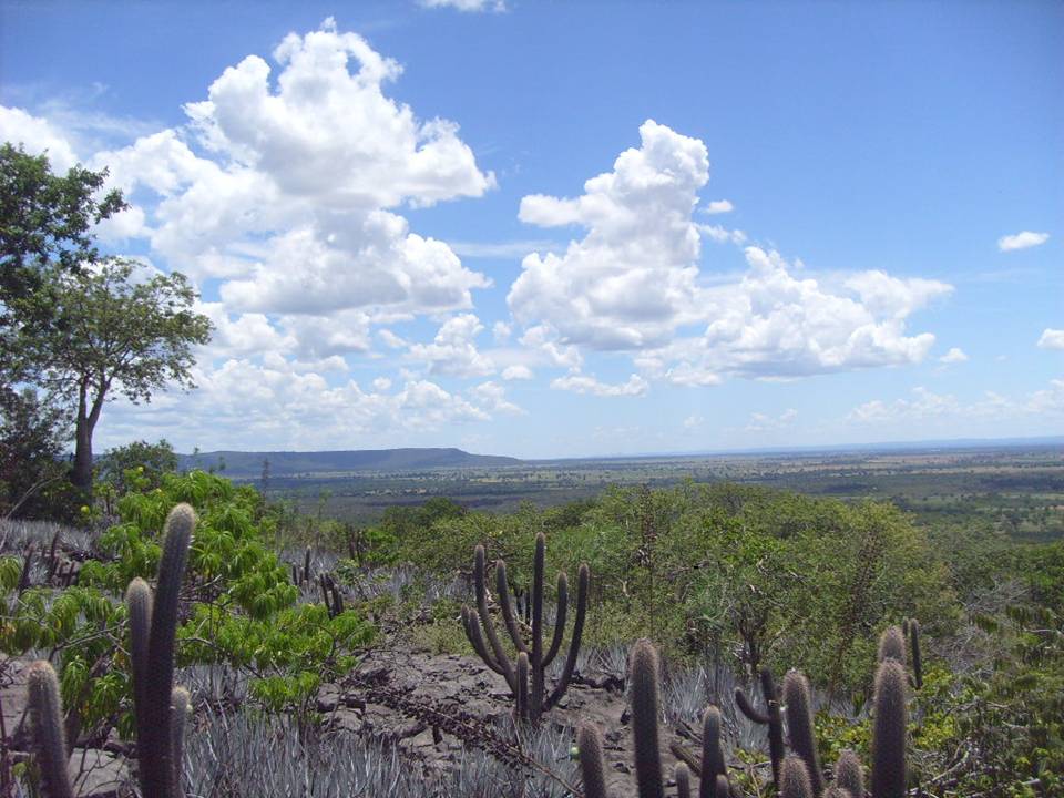 Especial REBIO Serra Azul
