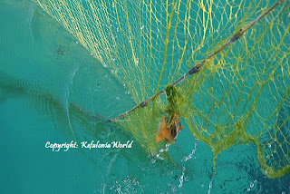 Kefalonia fishing