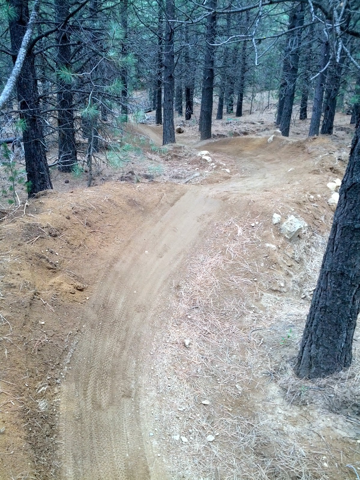 Richard Bolt Runs Spring Training Camp Bend, Oregon