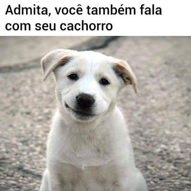 Memes engraçados Memes engraçados