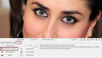 The Easy and Quick Way to Fix Red Eye From A Picture:Red Eye Removal Software