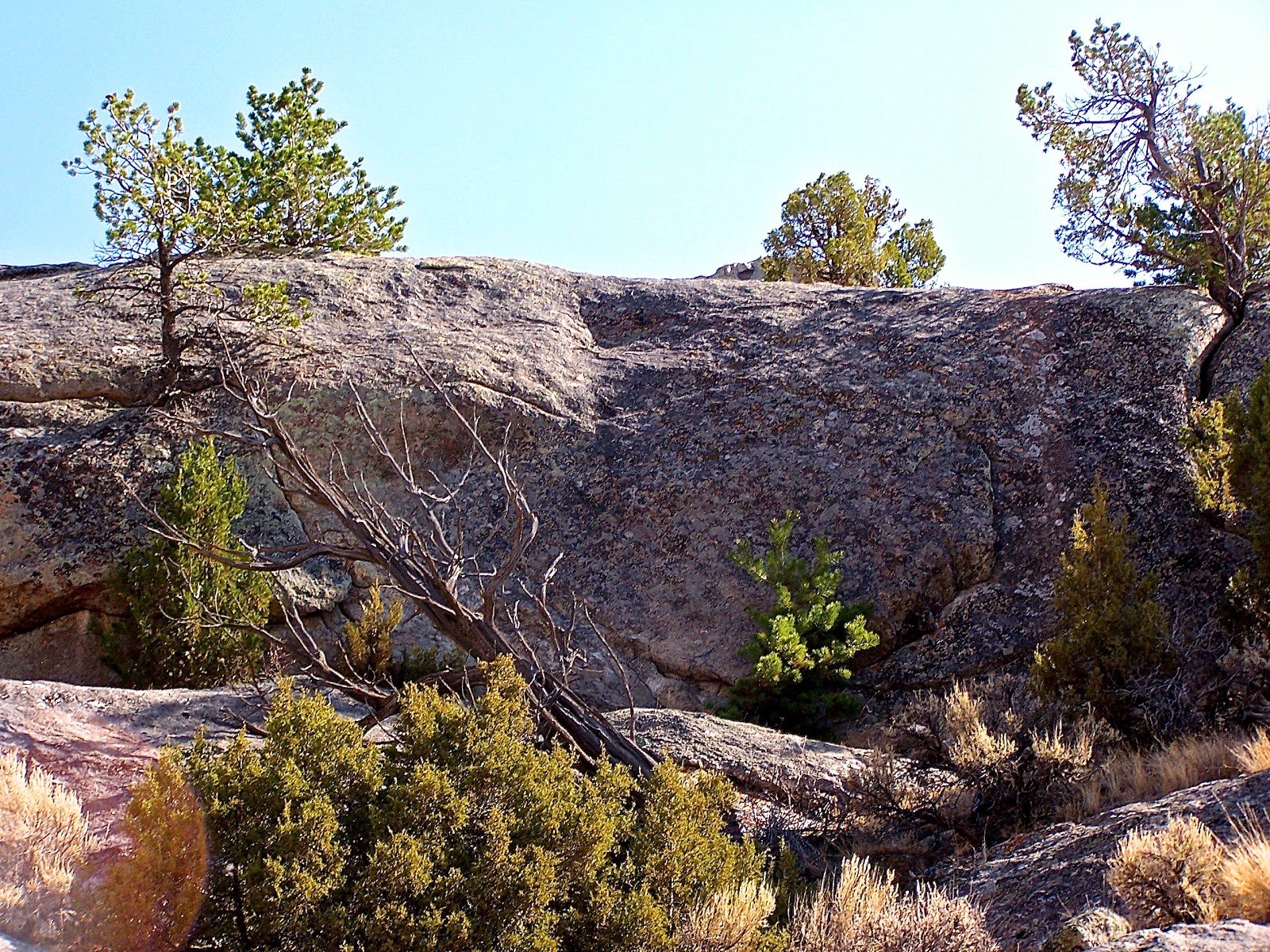 Martin's Cove Wyoming