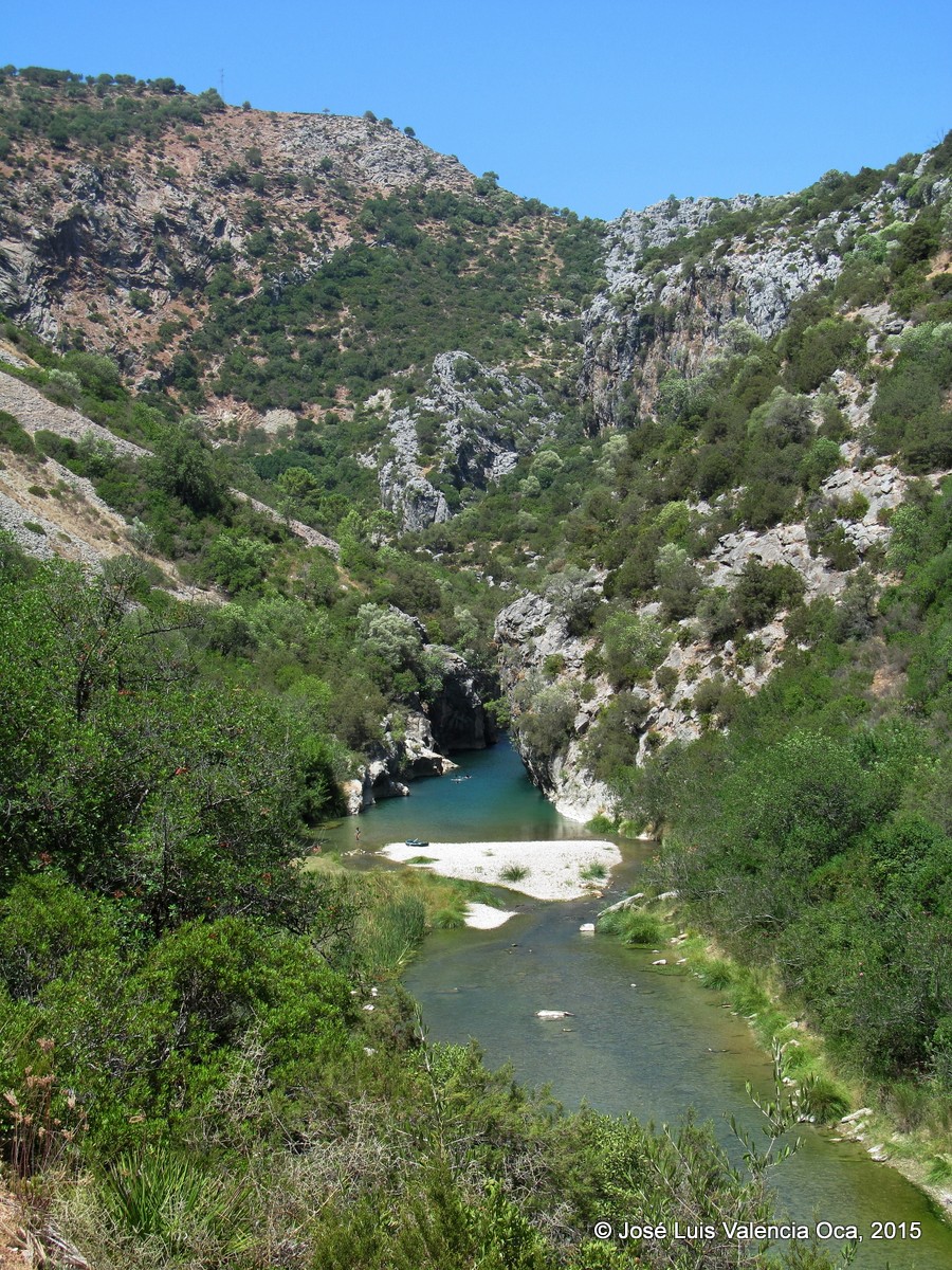 Cuaderno de Campo Payoyo: Garganta de las Buitreras - Río Guadiaro