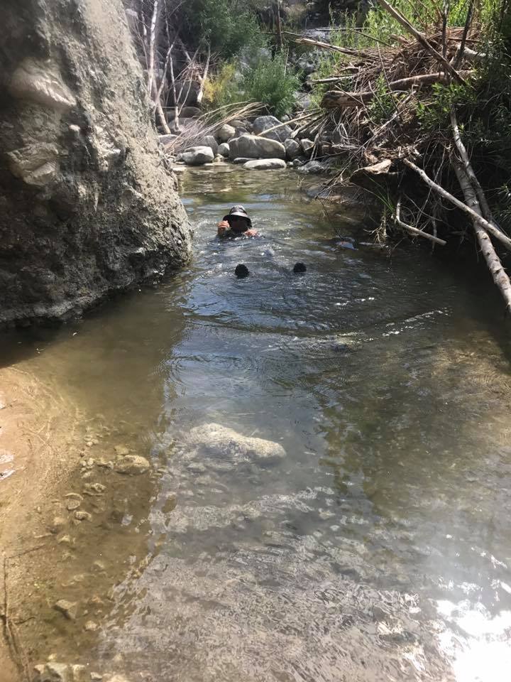 Lost In The Los Padres Hard Luck Camp and upper Piru Creek