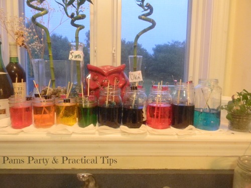 How to make Rainbow Rock Candy @PamsPartyandPracticalTips