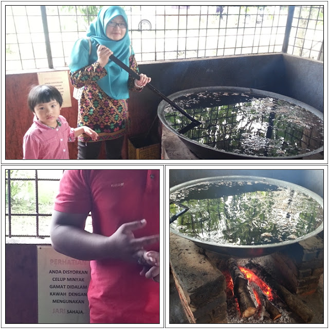 Tempat Menarik di Langkawi| Gamat Langkawi | Warisan Sireh Lagenda Tempat Menarik di Langkawi| Gamat Langkawi | Warisan Sireh Lagenda