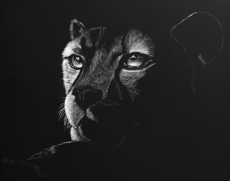 Digital Mixed Media Scratchboard Art part 1