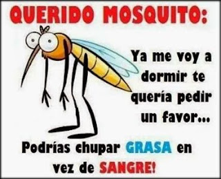Imágenes de risas con Frases graciosas Imágenes de risas con Frases graciosas