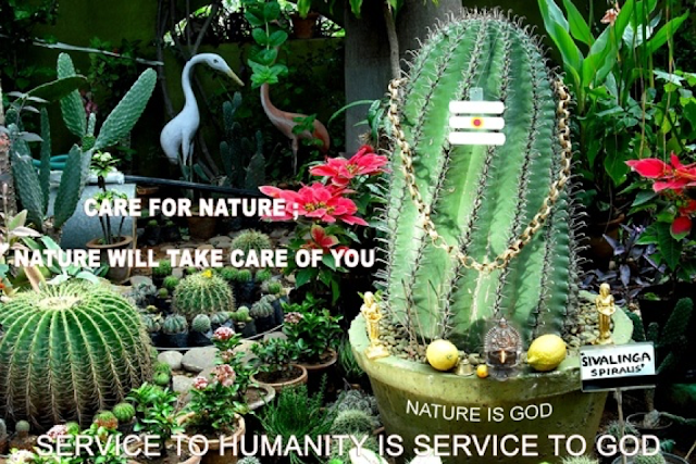 Trees+22.png