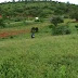 Vende-se uma fazenda em Mairi