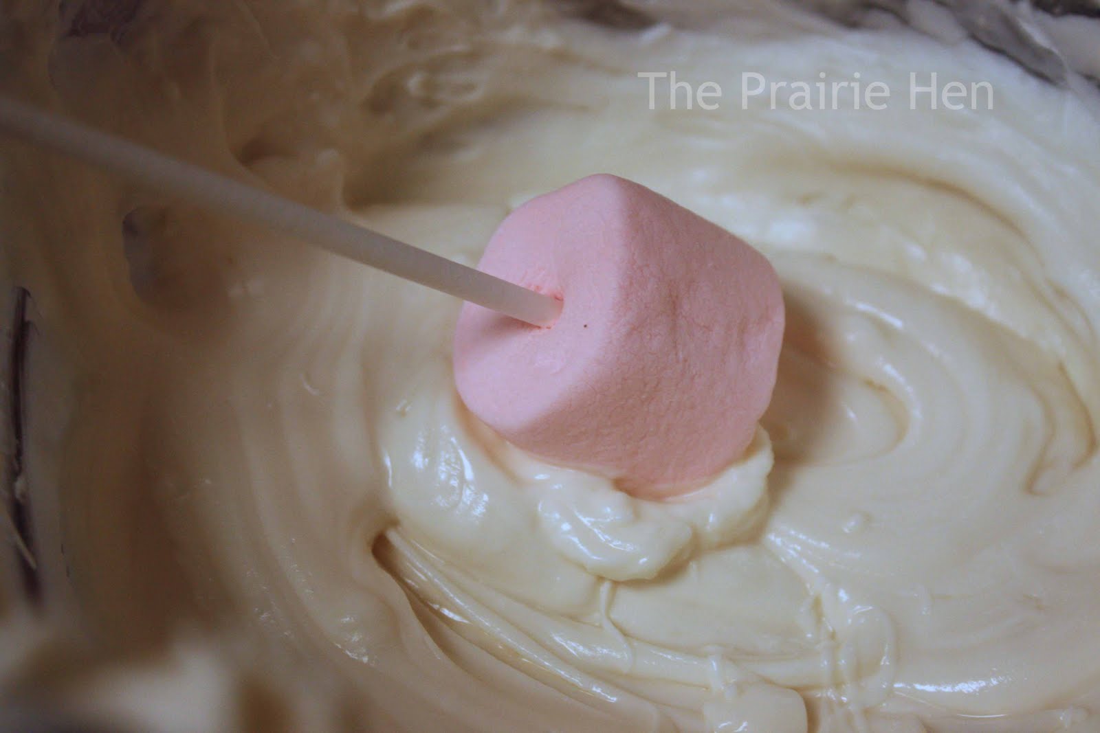 The Prairie Hen's Nest Survivor Pops Breast Cancer Awareness