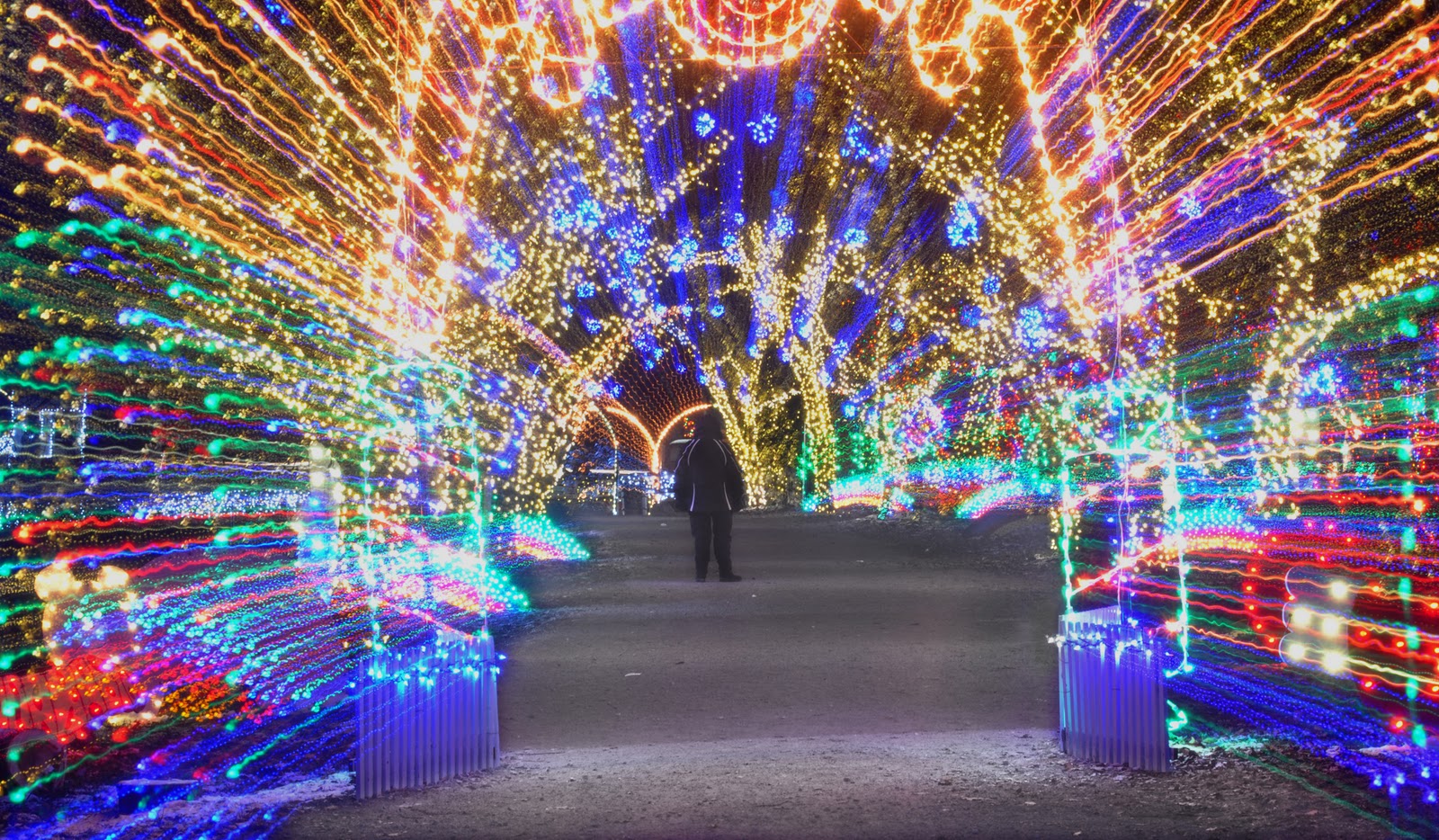 Life's a snapshot Christmas Magic is open until New Year's