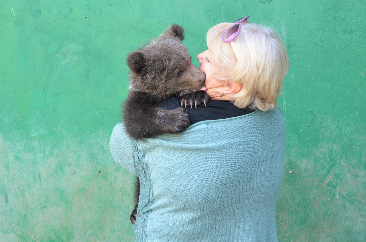 Степашка и люся видео тайган. Парк тайган люська и степашка. Парк тайган люська и степашка. Парк тайган люська и степашка. Степашка тайган.