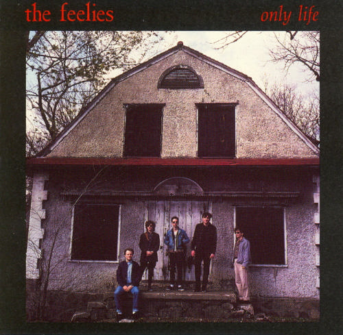 ballpark The Feelies