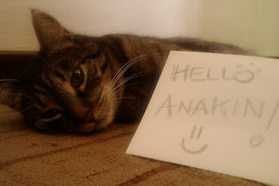 Hello to Anakin from Valentina in Italy