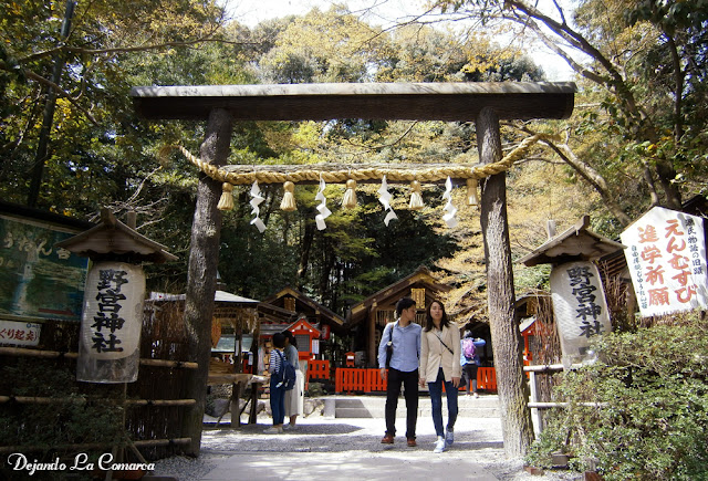 Día 14 - Kyoto (Arashiyama) - Japón primavera 2016 - 18 días (con bajo presupuesto) (2)