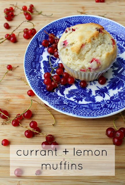 currant + lemon muffins