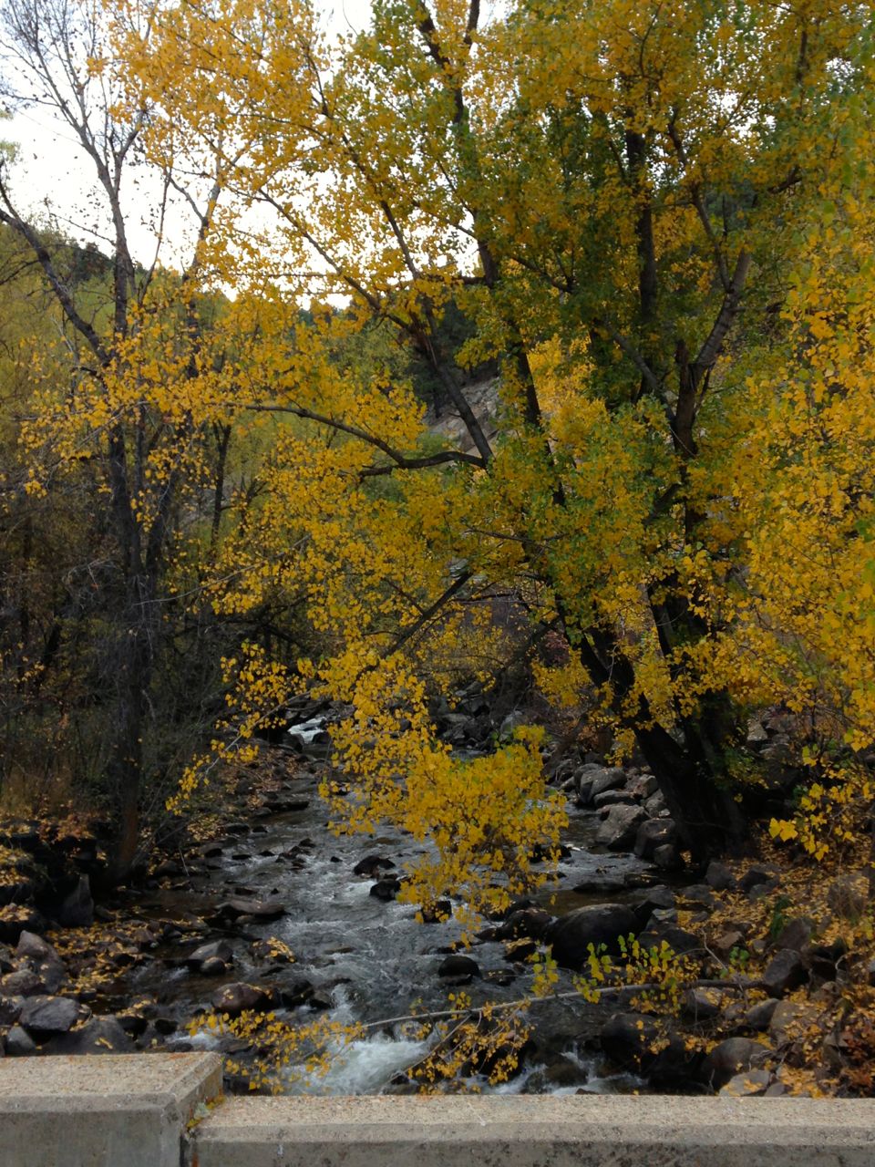 Bad Mom, Good Mom: October 2015