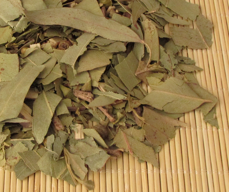 Herbolaria en Merida, Herbal y Natural Eucalipto