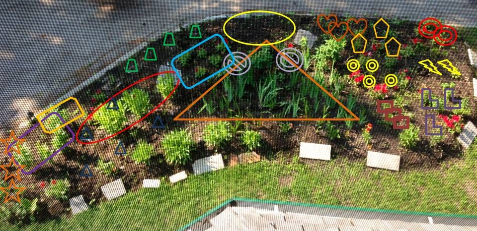 A Student Gardener: ANATOMY OF A SUN GARDEN - breaking the rules