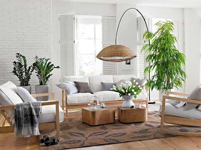 Bố trí cây xanh cho phòng khách Bố trí cây xanh cho phòng khách