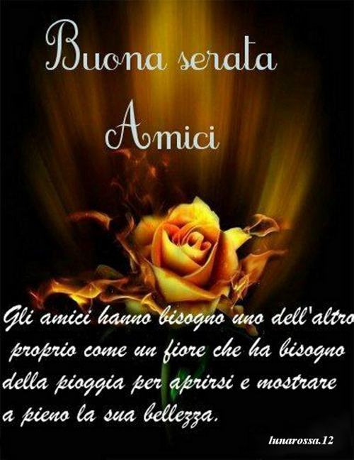 BUONA SERATA GIF STUPENDE jpg (500x648)