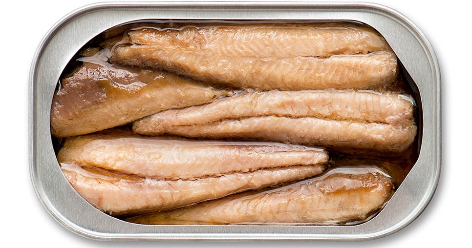 Sardine Fish Indonesia and Reasons of Why You Need to Eat It Fresh Water Shrimps Farming