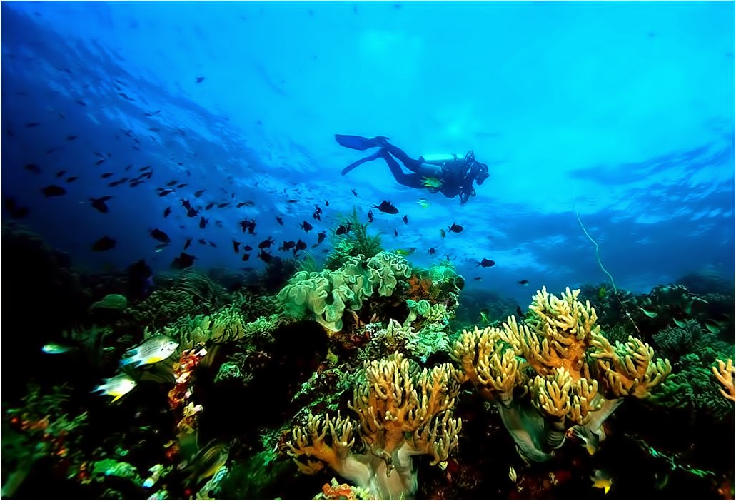Info Tempat Wisata Terbaik Di Indonesia Tempat Wisata Info Tempat Wisata Terbaik Di Indonesia Tempat Wisata
