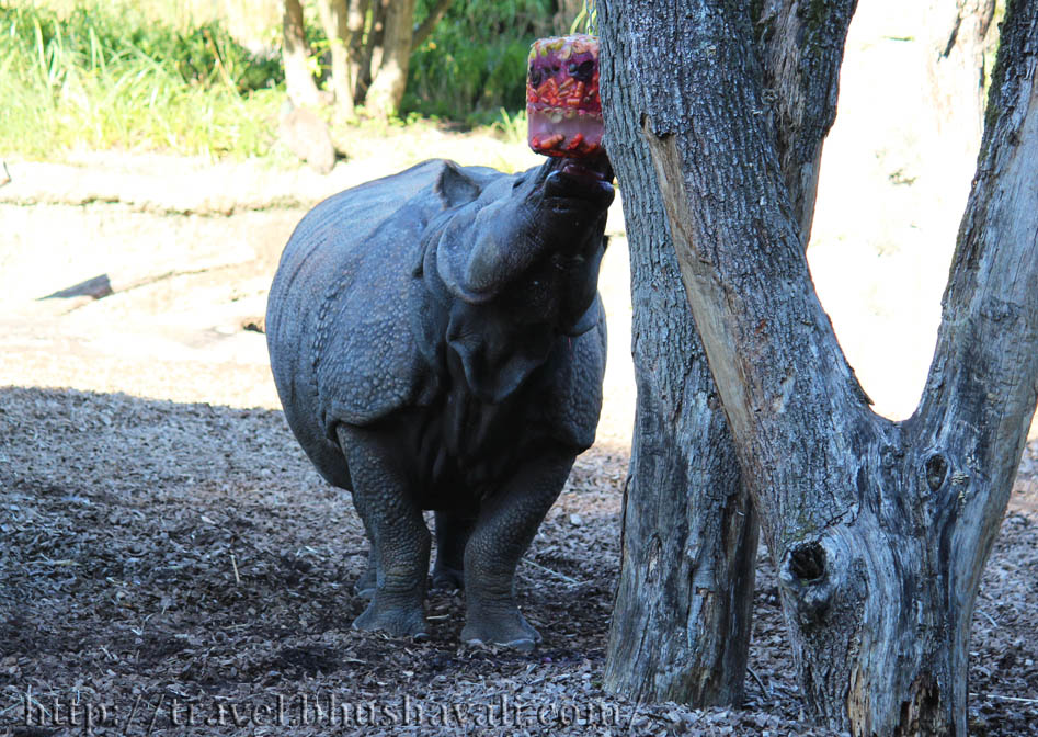 Basel Zoo (Basel Switzerland) My Travelogue