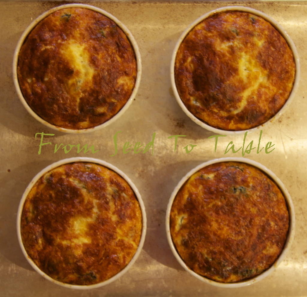 Michelle's Kitchen Notebook Beet Greens Quiche with no Crust (updated