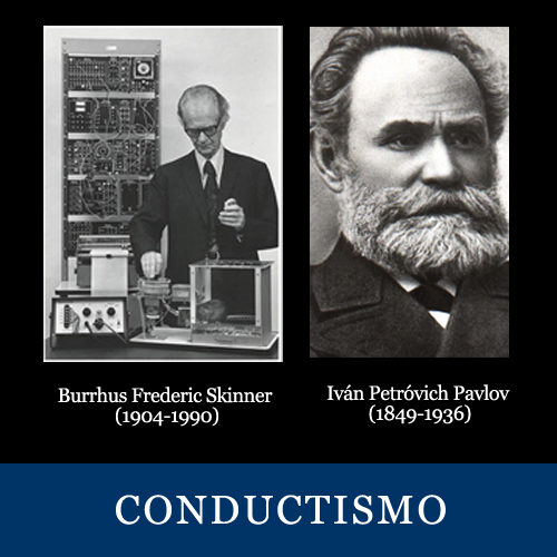 La evolución del conductismo - Psicoweb Psicología