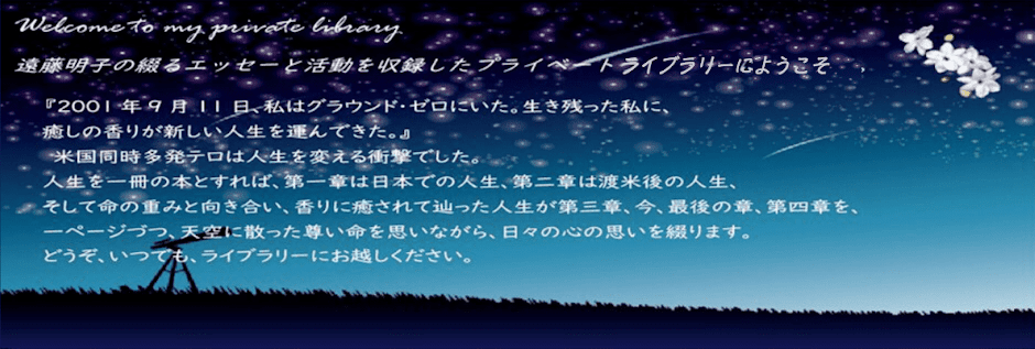 Akiko endo essay blog 03 image