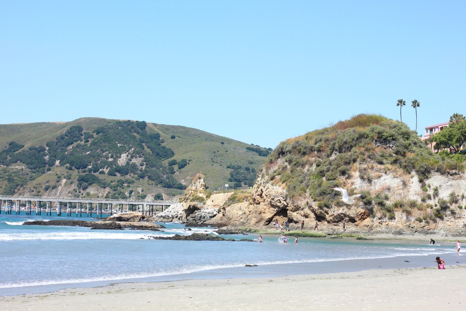 AVILA BEACH A Beautiful Heart