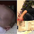Man abandoned in Gatwick Airport toilet as baby, finds parent after 33 years