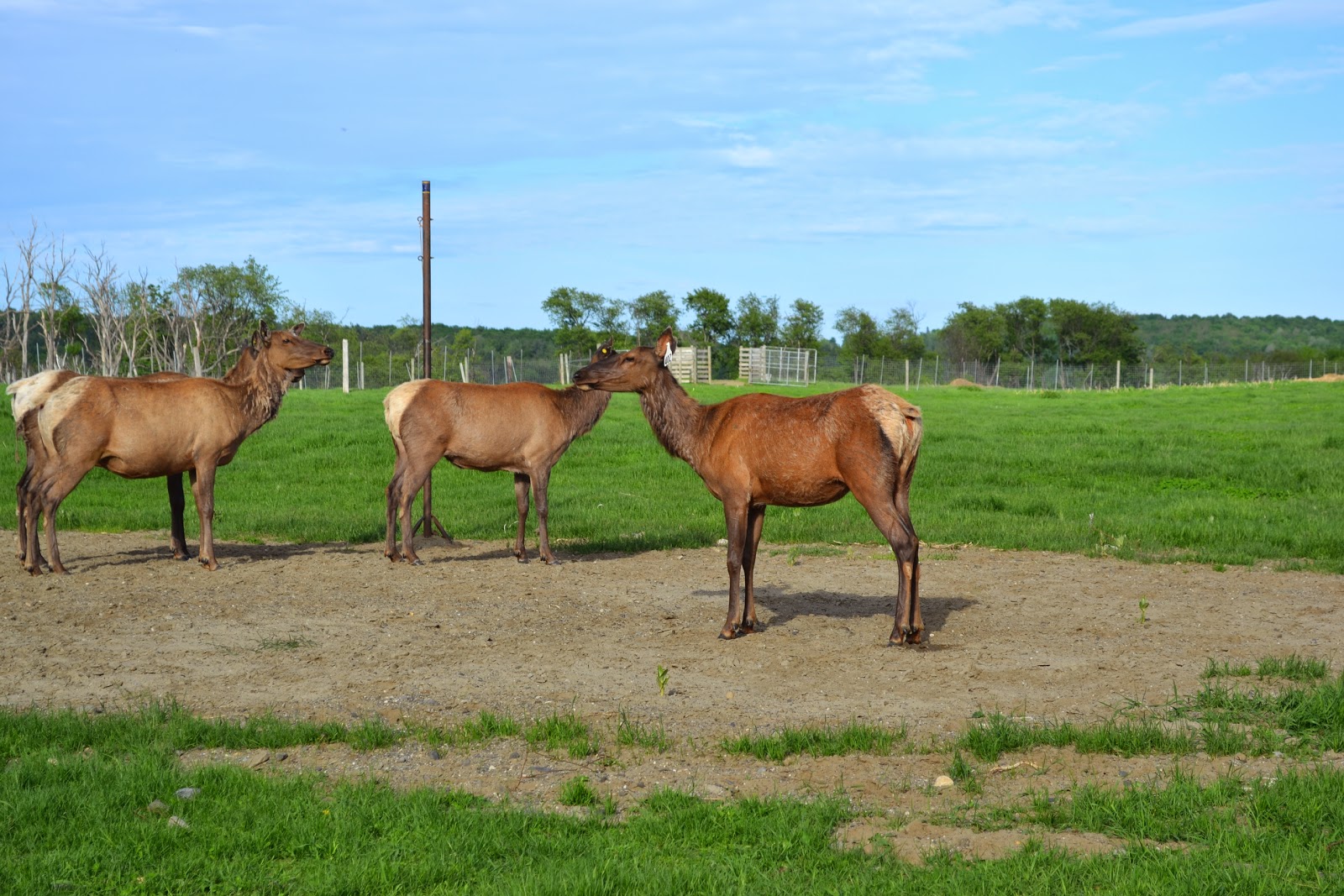No Bad Days RVing Derby, Vermont