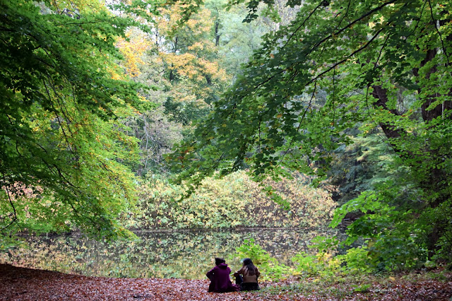 Autumn colours. Foliage. Chatting girls