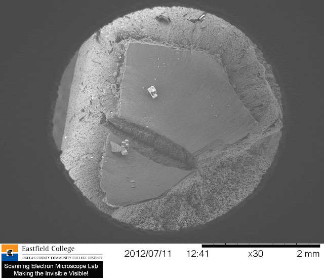 Popcorn Structure Scanning Electron Microscope Blog: Popcorn Revealed
