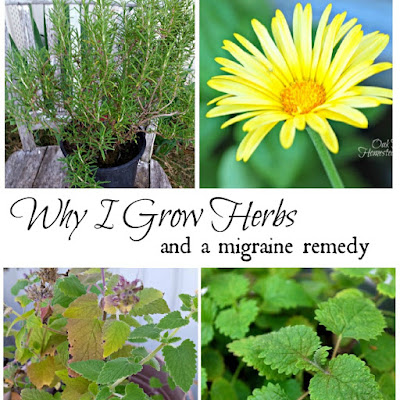 Why I grow herbs, plus a migraine remedy.